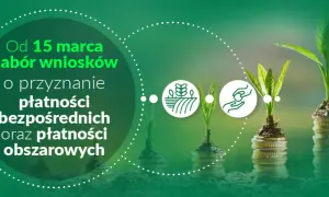 Od 15 marca nabór wniosków o przyznanie płatności bezpośrednich i obszarowych. Rośliny rosnące na stosach monet symbolizują wsparcie dla rolnictwa.