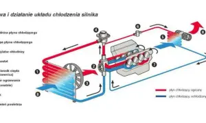Jak działa chłodnica - zrozumienie jej mechanizmów i funkcji