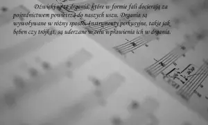 Co wprawia powietrze w drgania? Dźwięk w instrumentach dętych.