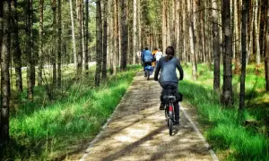 Grupa rowerzystów przemierza leśną ścieżkę, odkrywając najpiękniejsze trasy rowerowe na Kaszubach.