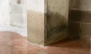 Wilgotne ściany i kałuże na podłodze piwnicy sugerują, że beton przepuszcza wodę. Widoczne ciemne zacieki.