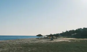 Spokojne tunezyjskie plaże z trawianymi parasolami i palmami w tle. Idealne miejsce na relaks.