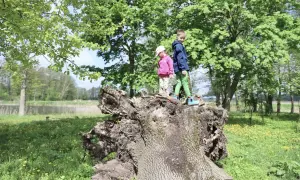 Siedlce atrakcje na weekend: idealne miejsca na relaks i zabawę