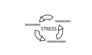 Diagram visar hur stress, tungmetaller, näringsbrister och ökad stresskänslighet kan skapa en ond cirkel som bidrar till funktionella symtom.