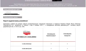 KRD: Jak długo wpis o długu widnieje? Sprawdź terminy i usuwanie!