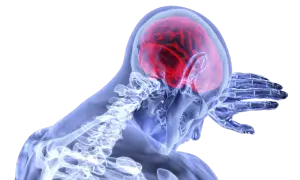 Nietolerancja glutenu a mózg: Neurologiczne objawy, których nie znasz?