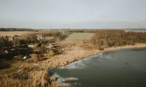 Zimowy krajobraz nad jeziorem Pniewy. Lód pokrywa część wody, a trzciny szumią na brzegu. W oddali widać las i pola.