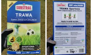 Opakowanie nasion trawy "Sportowa" marki Substral. Jaka trawa na trawnik? Ta samo zagęszczająca się przez kłącza, idealna na intensywnie użytkowane tereny.