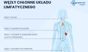 Schemat układu limfatycznego z zaznaczonymi węzłami chłonnymi szyjnymi, pachowymi, w jamie brzusznej i klatce piersiowej oraz pachwinowymi.