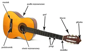 Anatomia gitary: pudło rezonansowe, gryf, mostek, podstrunniki, progi, siodełko, klucze i główkę.