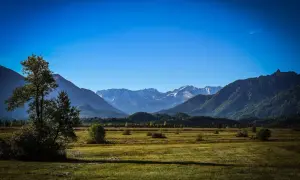 Weite Ebene im **Murnauer Moos** mit einem einzelnen Baum im Vordergrund und schneebedeckten Bergen am Horizont unter strahlend blauem Himmel.