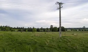 Słup na działce ponad 30 lat, stoi pośród zielonej łąki, z liniami energetycznymi biegnącymi ku horyzontowi.