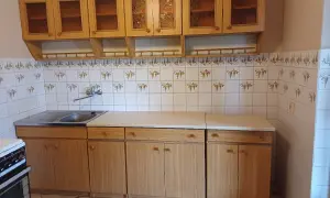 Jasne, oto opis:

Używane meble kuchenne z jasnego drewna, z przeszklonymi frontami szafek wiszących i ceramicznymi płytkami z motywem winogron.