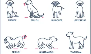 Illustrationen zeigen verschiedene Hund Verhaltensweisen: Freude, Bellen, Unsicherheit, Stress, Spielen, Misstrauen und Wachsamkeit.