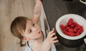 Ein neugieriges Baby entdeckt eine Schüssel voller Himbeeren.