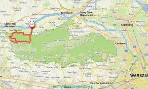 Puszcza Kampinoska: Szlaki, atrakcje blisko Warszawy. Planuj!