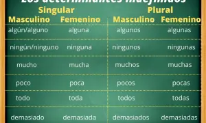 Tabla de tipos de determinantes indefinidos en español, mostrando singular y plural, masculino y femenino: algún, ninguno, mucho, poco, todo, demasiado.