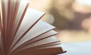 Gdzie szukać literatury do pracy licencjackiej, aby uniknąć frustracji?