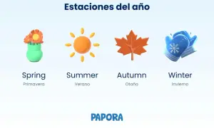 Ilustraciones de las estaciones: primavera con flores, verano con sol, otoño con hoja de arce y invierno con manoplas. Aprende las estaciones en inglés.