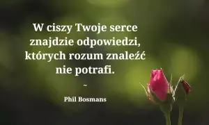 Serce czy rozum? Odkryj cytaty i znajdź swój wewnętrzny kompas