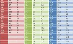 27.5 cm buta: Jaki to rozmiar EU? Dobierz idealne obuwie!