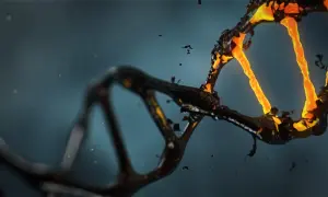 Czy po kremacji można ustalić DNA? Oto trudne wyzwania i możliwości