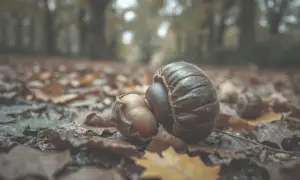 Czy pies może jeść kasztany? Toksyczność i zagrożenia dla zdrowia psa.