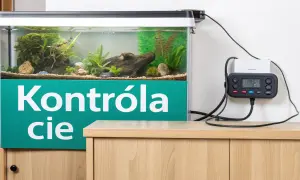Akwarium z roślinami i urządzeniem do kontroli temperatury.