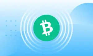 Jak kupić Bitcoin Cash - proste kroki, aby uniknąć błędów i strat