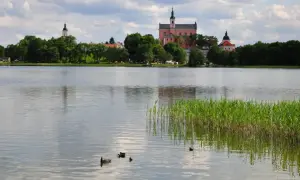 Malownicze jezioro z kaczkami i zabytkowymi budynkami w tle. Idealne miejsce na romantyczny wypad, odkryj suwałki atrakcje dla dwojga.