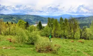 Zielona, chrobacza łąka z widokiem na jezioro i góry. Dziecko w zielonej kurtce stoi na skraju lasu.