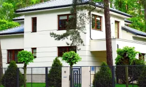 Jakie odległości drzew od granicy działki mogą uchronić przed sporami?