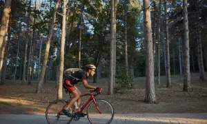 Mężczyzna w kasku i okularach jedzie na rowerze przez las. Idealne miejsce, gdzie na rower.