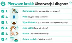 Szczeniak nie chce jeść? Sprawdź jego zachowanie, picie, wypróżnienia, jamę ustną, brzuch i ostatni posiłek.