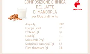 Composizione chimica del latte di mandorla: acqua, energia, proteine, lipidi, colesterolo, carboidrati, fibra. Informazioni utili per chi valuta il latte di mandorla controindicazioni.