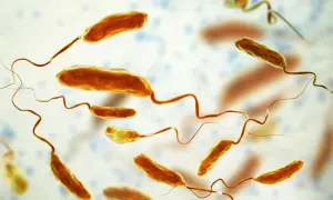 Bakterie Vibrio cholerae, które wywołują chorobę cholera, unoszą się w wodzie.