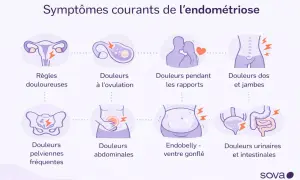 Symptômes courants de l'endométriose : règles douloureuses, douleurs à l'ovulation, douleurs pendant les rapports, douleurs dos et jambes, douleurs pelviennes, douleurs abdominales, endobelly, douleurs urinaires et intestinales.