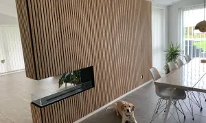 Vacker vägg med akustikpanel inspiration, en modern eldstad och en hund som vilar vid matbordet.
