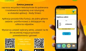 Aplikacja do śmieci: Którą wybrać? Porównanie i funkcje