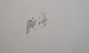 Sprucken färg visar spackel syns efter målning. En fläck på en ljusgrå vägg där färgen flagnar och spacklet syns igenom.