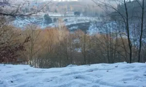 Śnieg pokrywa wzgórze, a w oddali widać zimowy krajobraz Gdańska z drzewami i budynkami.