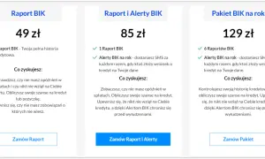 Pobierz raport BIK krok po kroku: Darmowy czy płatny?