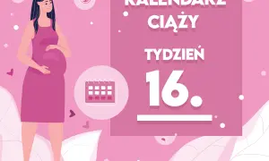 16 tydzień ciąży: na jakiej wysokości jest dziecko w brzuchu?