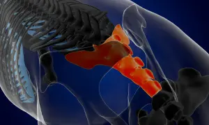 En 3D-rendering av bäckenet visar korsbenet i orange, en del av ryggraden och revbenen i svart och ljusblått. Detta är en viktig si joint svenska.