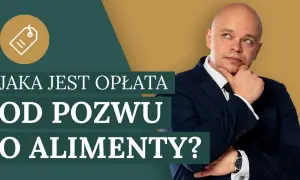 Ile kosztuje pozew o alimenty u adwokata? Sprawdź ukryte opłaty