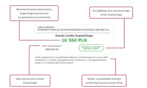Wartości niematerialne i prawne od jakiej kwoty? Sprawdź limity!