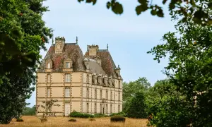 Un majestueux chateau abandonné se dresse au milieu d'une prairie dorée, entouré d'arbres verdoyants.