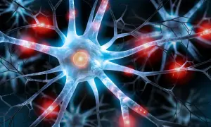 Nervceller med glödande kopplingar, som symboliserar hur serotonin kan påverka hjärnan och ge biverkningar.