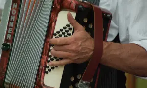 Dłoń gra na akordeonie HOHNER Junior 48. Czas nauki gry na akordeonie zależy od zaangażowania.