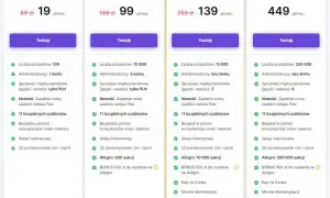Ile kosztuje sklep internetowy? Sprawdź, co wpłynie na ceny